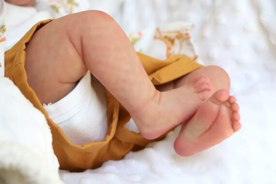 Basic Art Reborn Doll